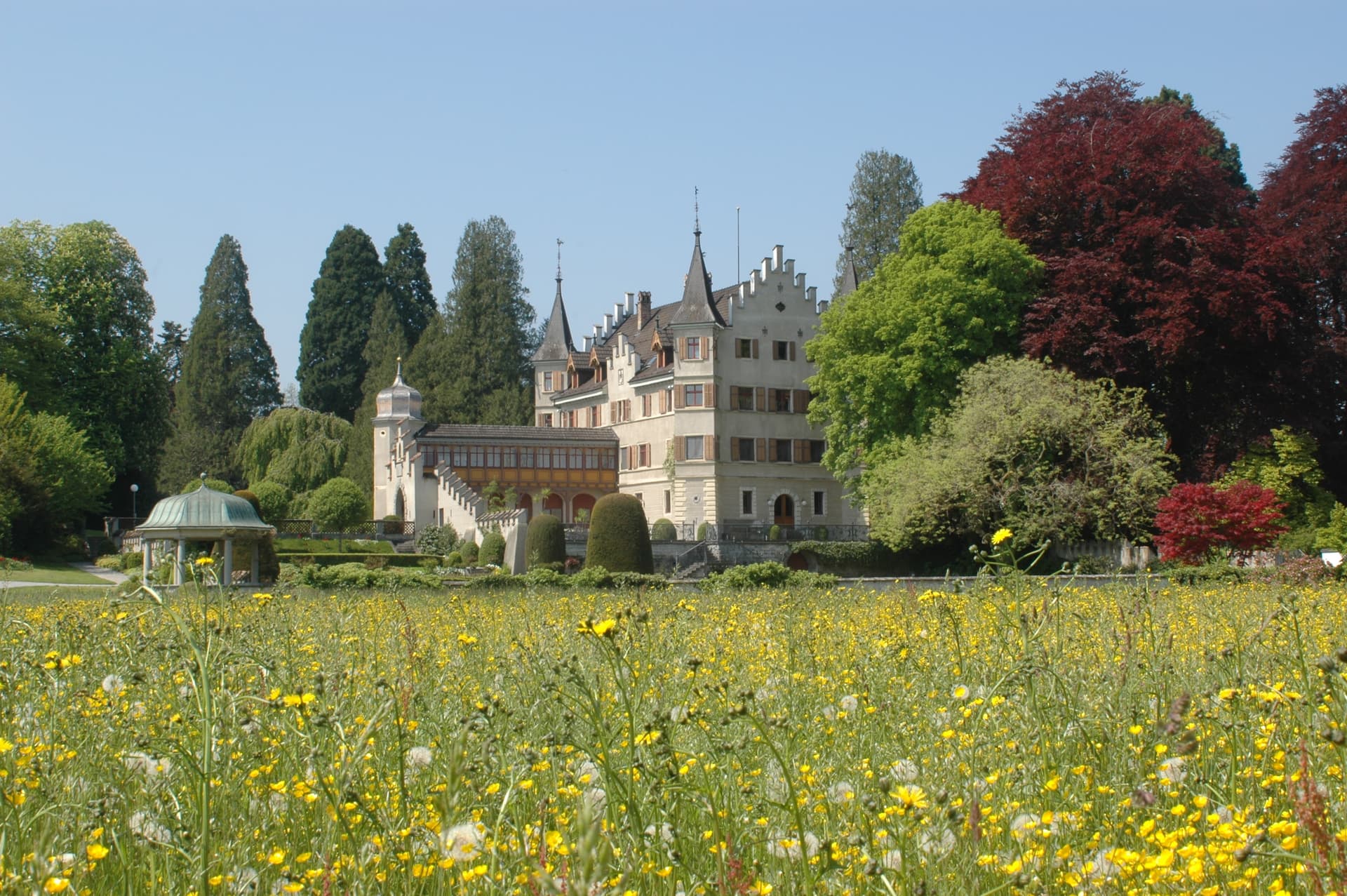 Schloss Seeburg with yellow wildflower meadow and gazebo in Kreuzlingen park.