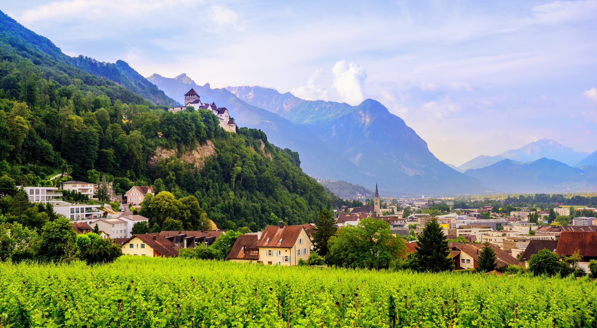 Vineyard in Vaduz, Liechtenstein, with castle on wooded hill and blue mountains.