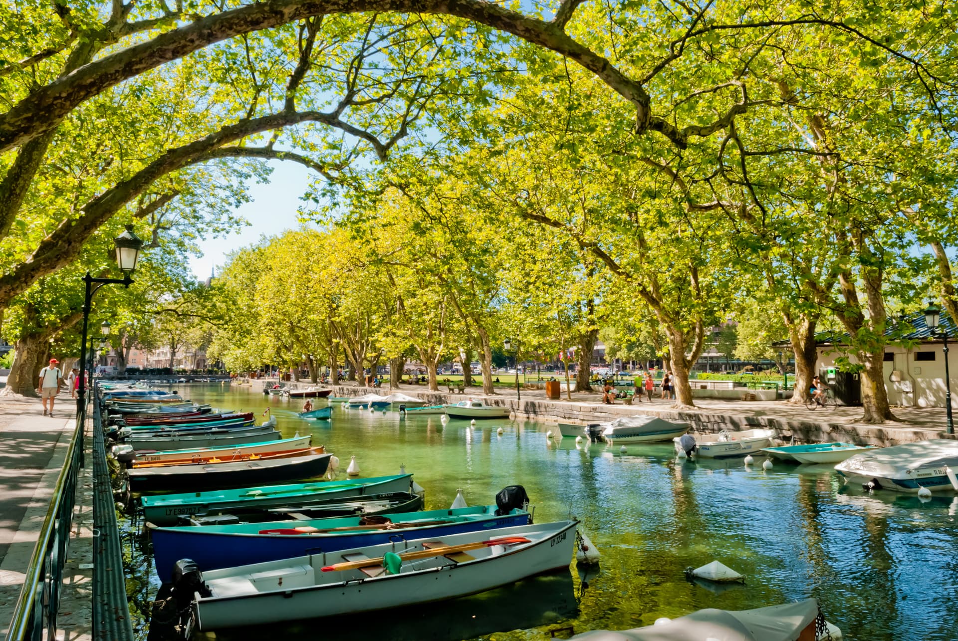 Rowboats moored along a canal under a canopy of bright green trees in Annecy.