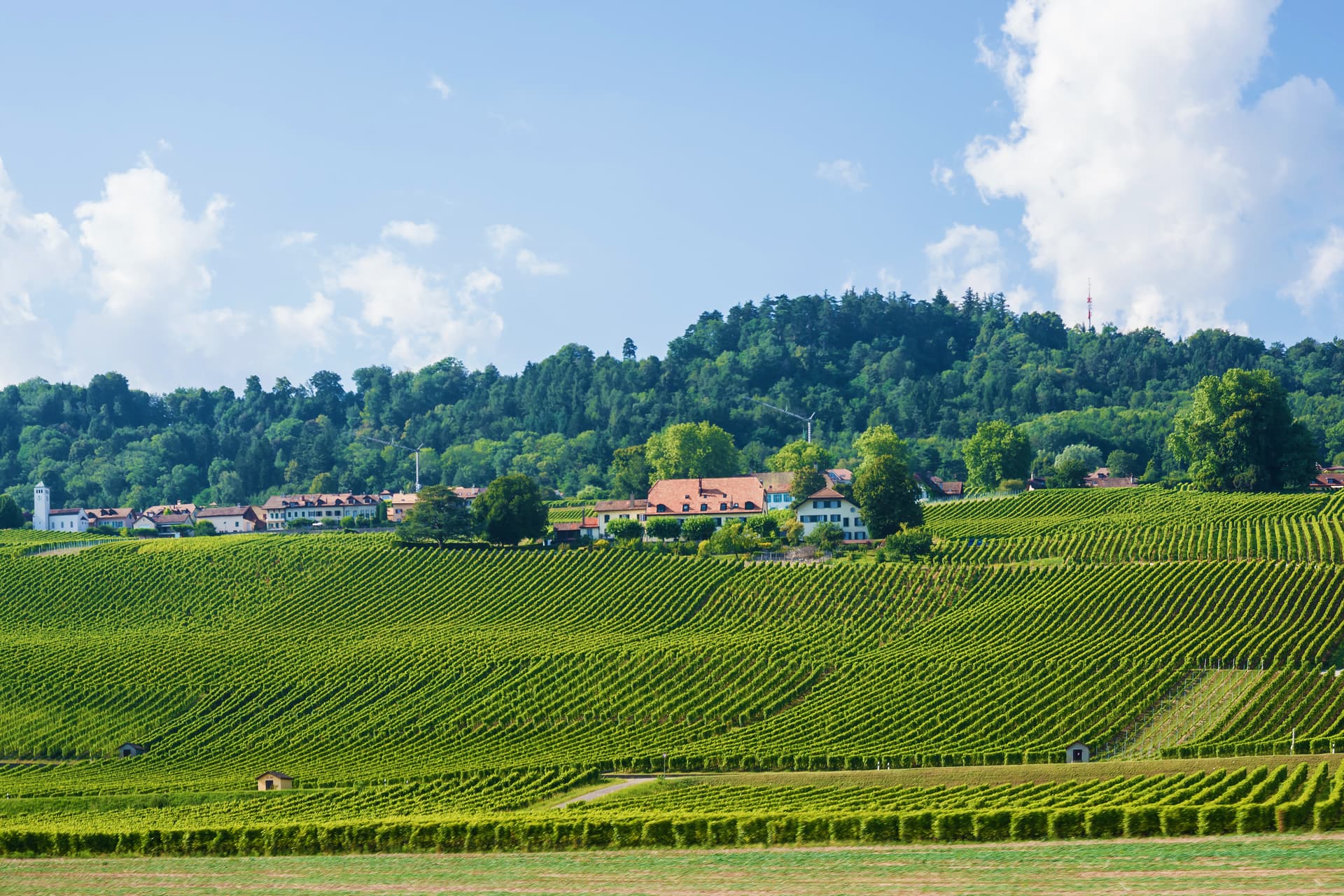 Swiss-village-in-Yverdon-les-Bains-Switzerland