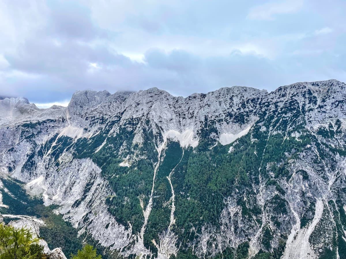 Rugged, rocky mountain range with patches of dark green forest under a cloudy sky.