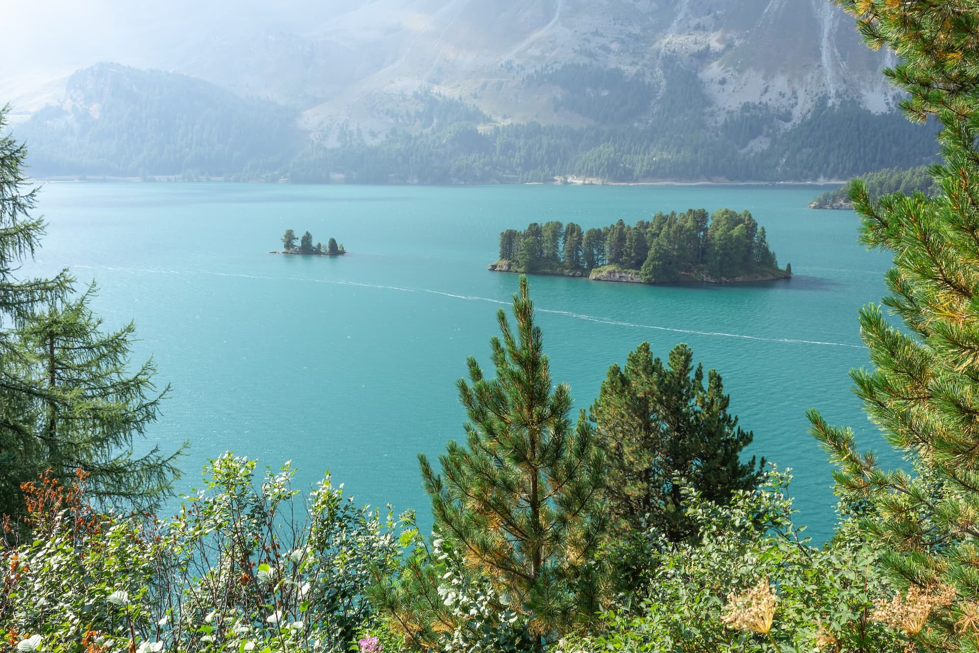 Lake Sils in summer with turquoise water, forested islands, and hazy mountains in Upper Engadine, Switzerland.