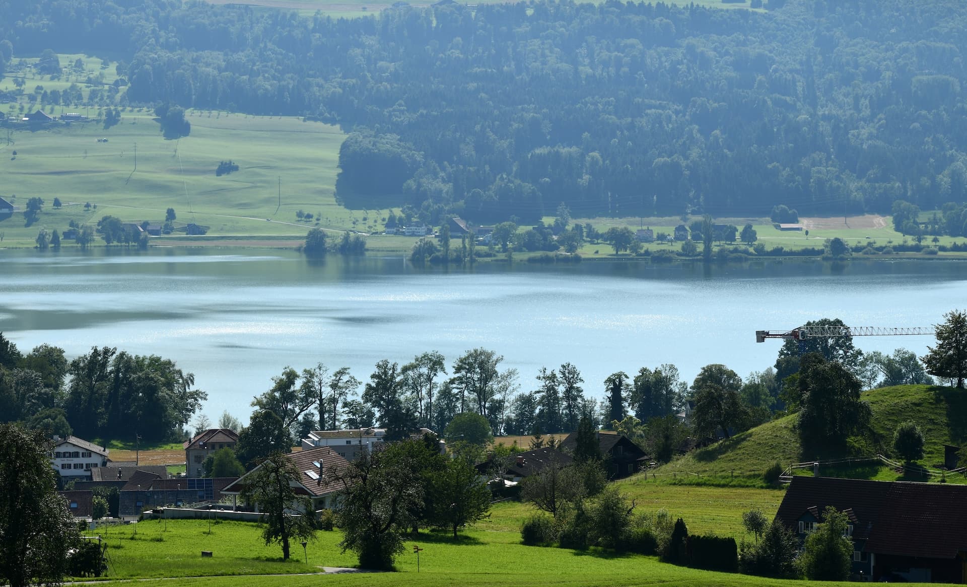Lake Baldegg vista with green hills, scattered houses, and sunlit water framed by distant forest.