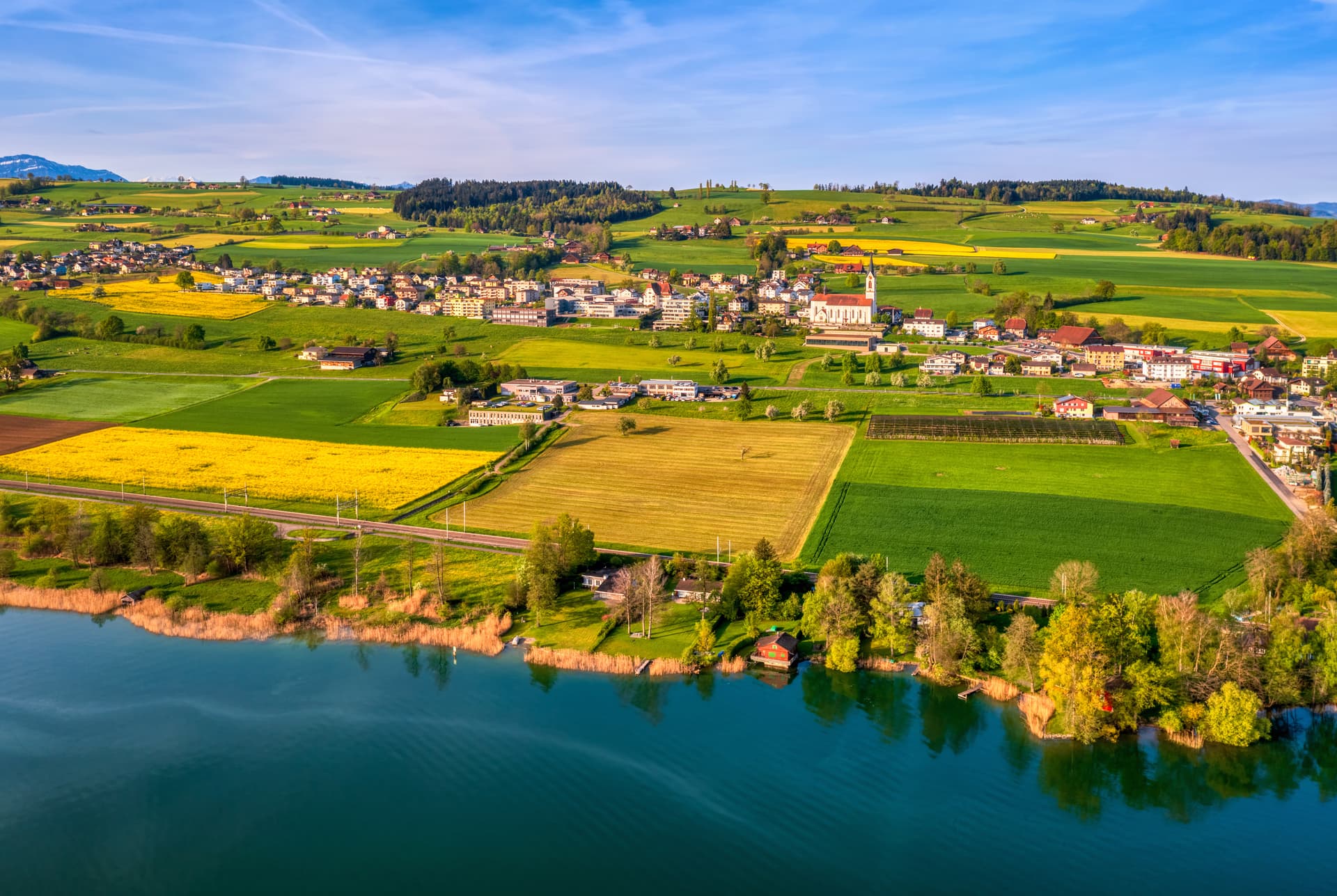 Nottwil town on Lake Sempach with bright yellow canola fields and distant snow-capped mountains.